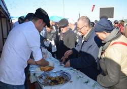 Hamsi Şenliği Görülmeye Değerdi