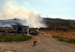 Barınak Alevlerden Kurtuldu 