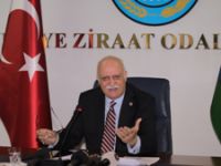 Kırmızı ette üretim 1 milyon tonu geçti