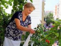 Balkon Bahçeciliği Uygulama Projesi’