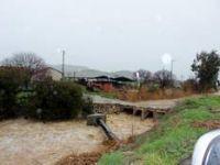 Foça'da Şiddetli Yağış Etkili Oluyor