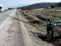 Aliağa Belediyesi 40 Bin Fidanı Toprakla Buluşturdu