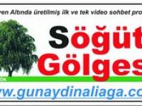 Aliağa'da Söğüt Gölgesi 2